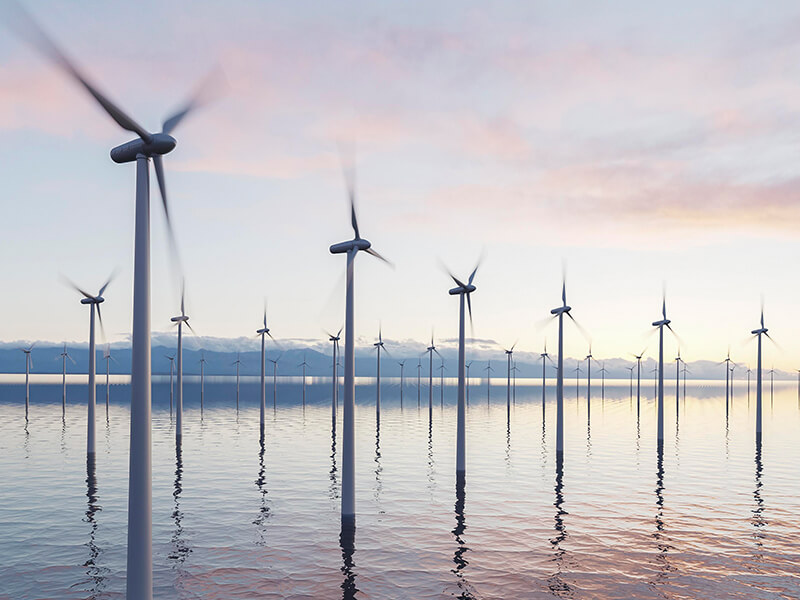 Elza Grup İle  Sizlerde En İyisine Layık Olun